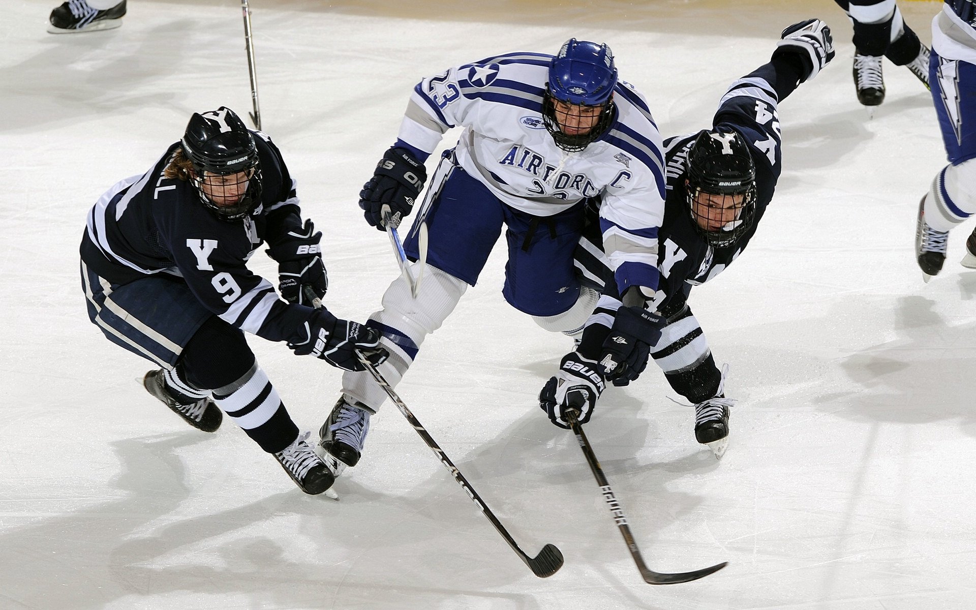 防守铸就胜利，广东队锁死老鹰，布克化身关键先生